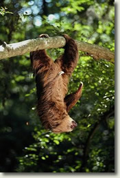 Costa Rica vacations